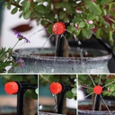 50M Automatic Garden Irrigation Watering System