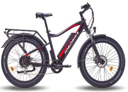 electric bicycle City Model Aliza